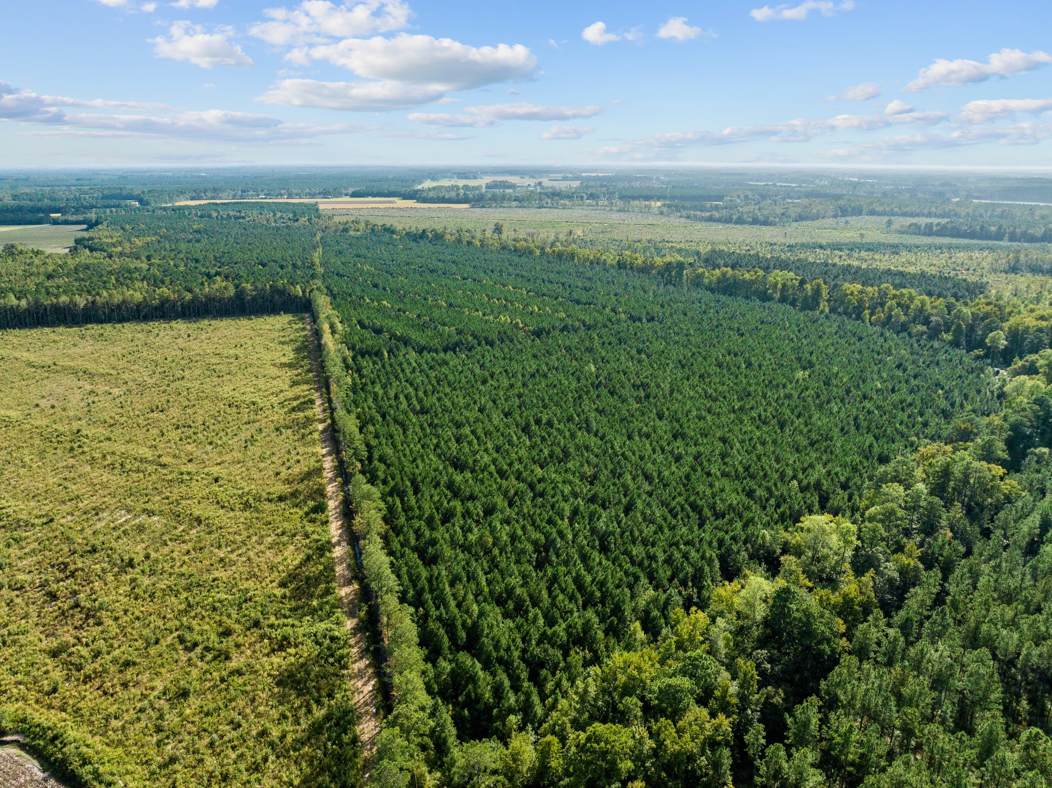 470-AC Prime Hunting Land for Sale in Pitt County, NC