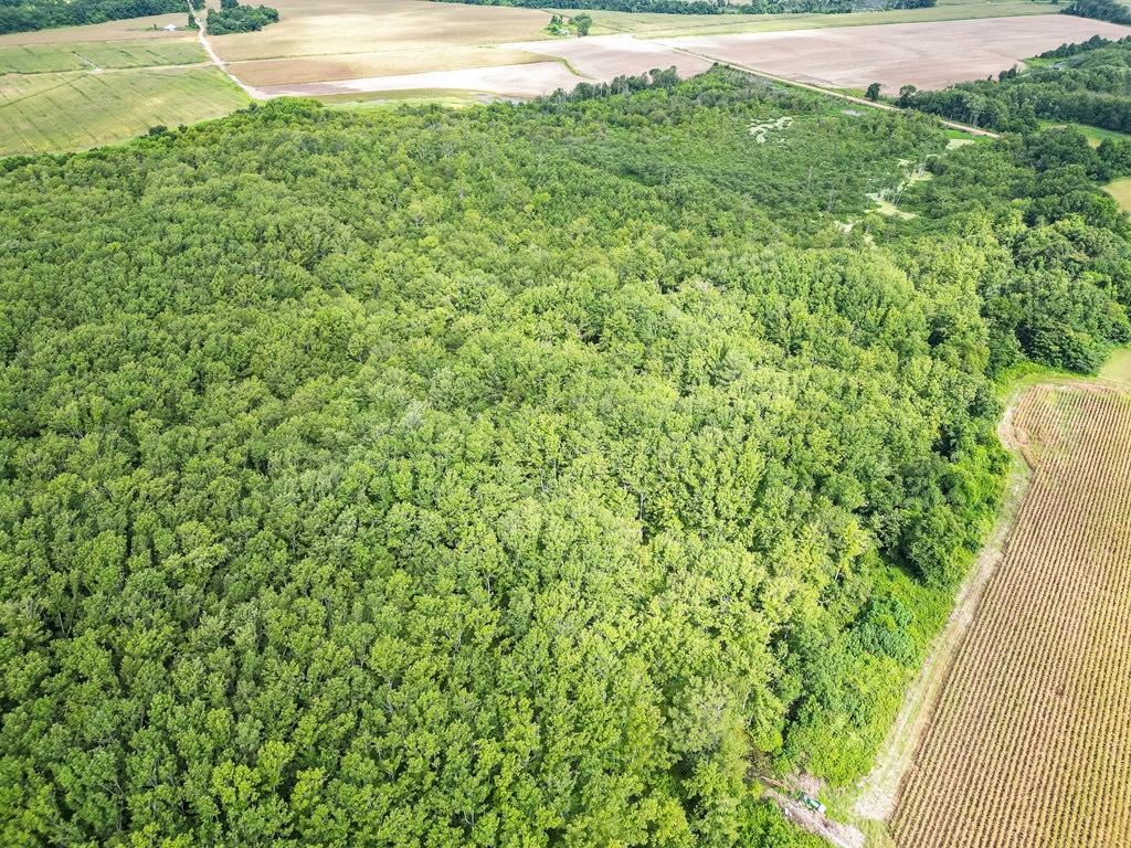 Tchula MS Delta 97 Acres
