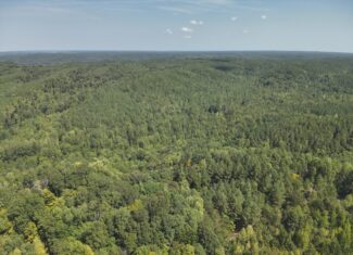 231.15 Acre Timber Land for Sale in Clifton, Tennessee