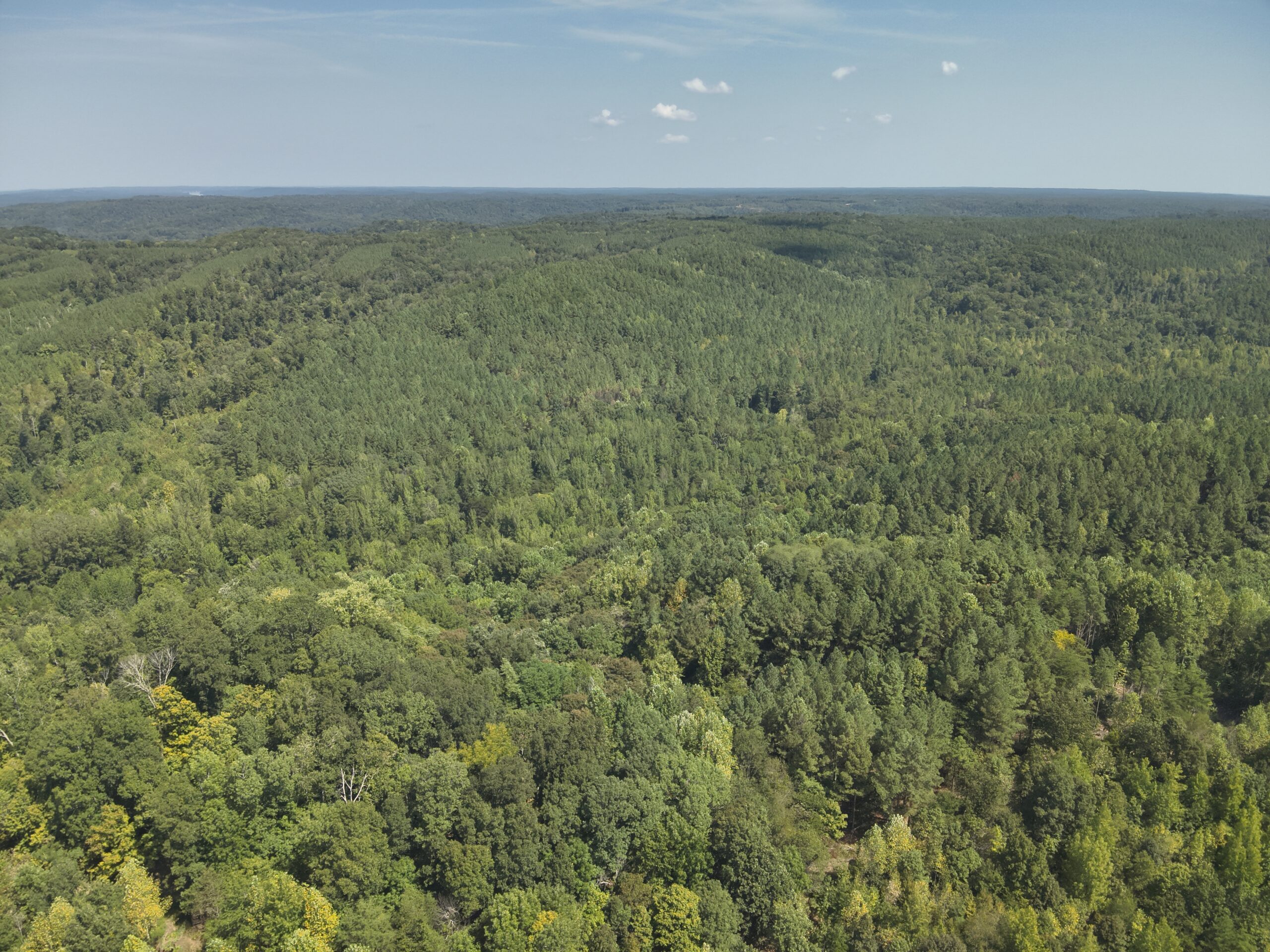 231.15 Acre Timber Land for Sale in Clifton, Tennessee