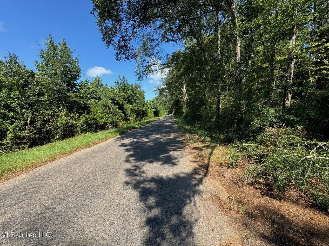 32 +/- Acres Near McComb, MS – Hunting, Timber, Homesite