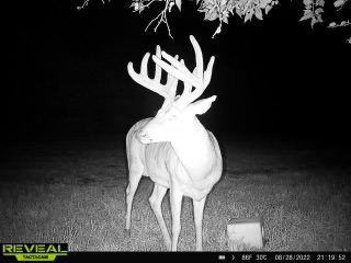 The Perfect 160 in Franklin County Kansas