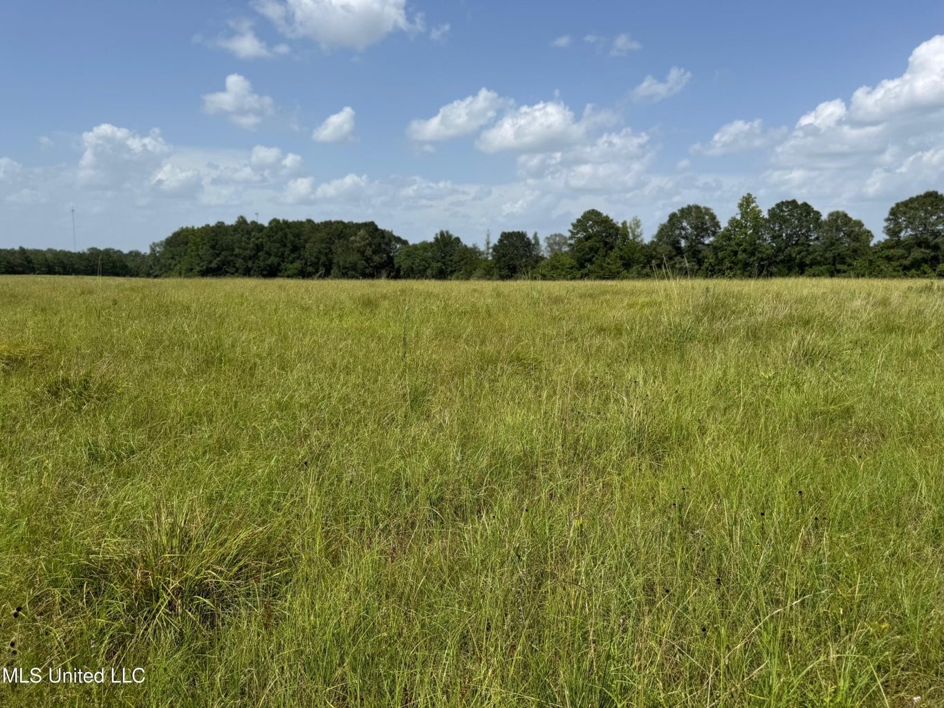 Mississippi Land for Sale Near Osyka MS & LA State Line