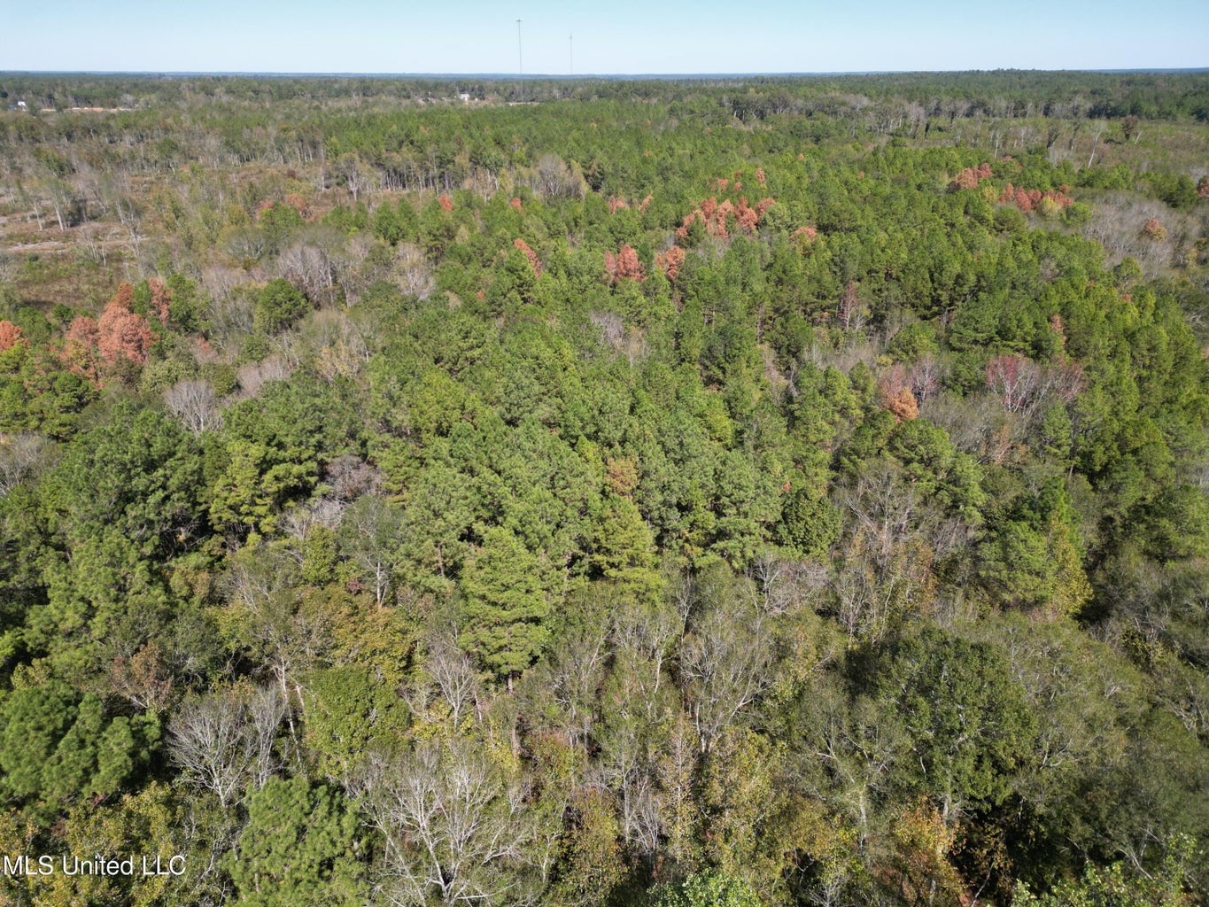 51.52 Acres Land for Sale Near McComb MS