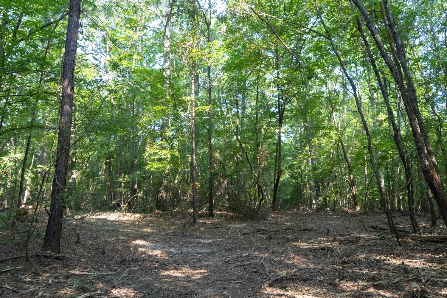 Affordable Multi-Use Recreational Tract