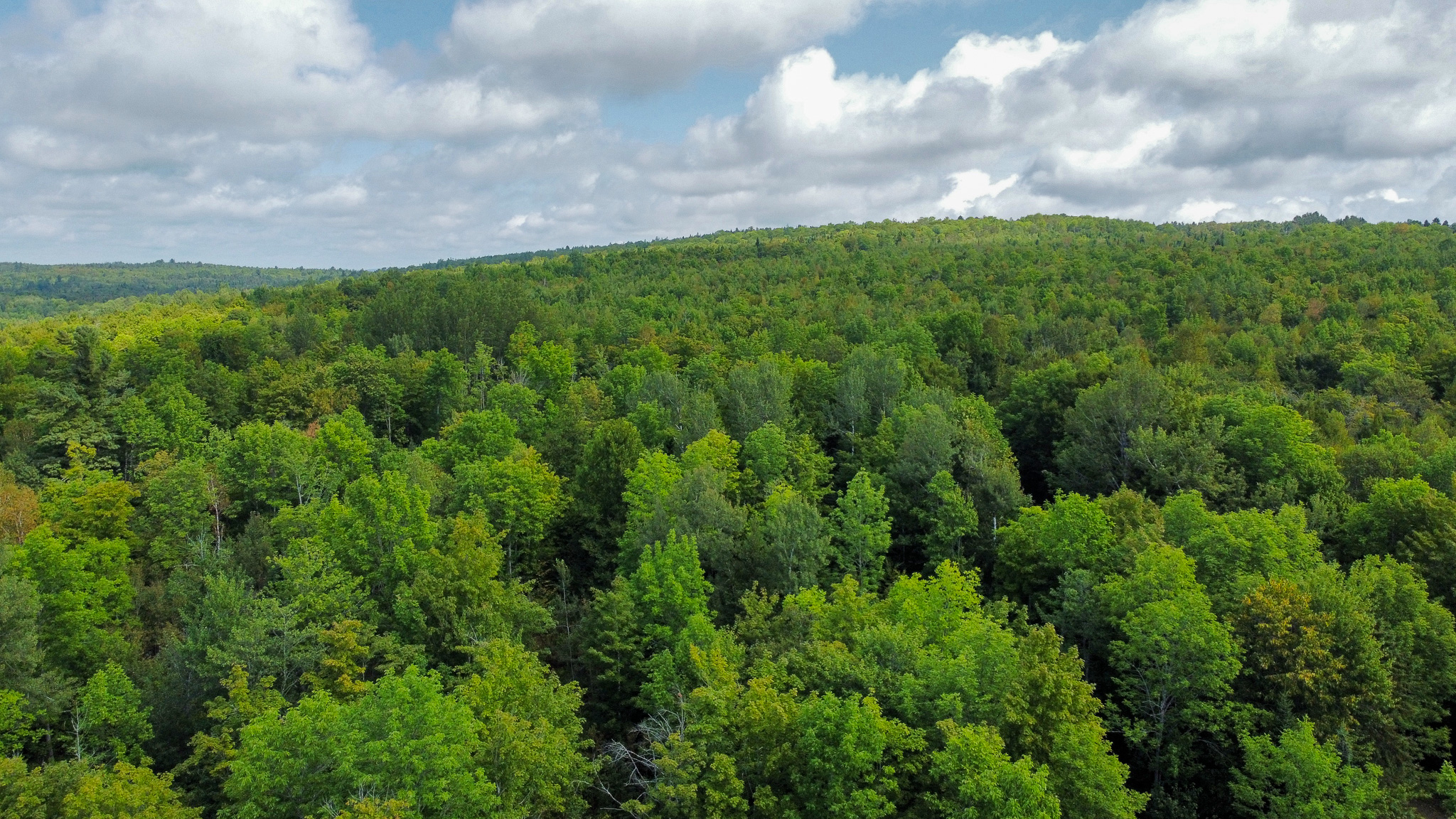 Northern Maine Recreational Land | 44 Acres