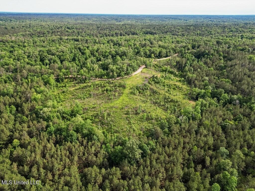 Catahoula Parish 290 Acres Hunting and Income Property