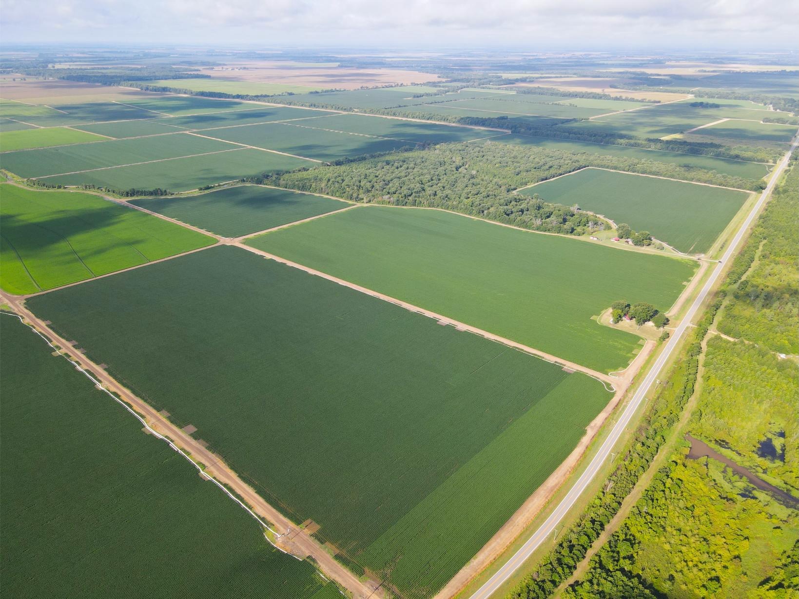 500 +/- Acres Precision Leveled and Irrigated Farmland