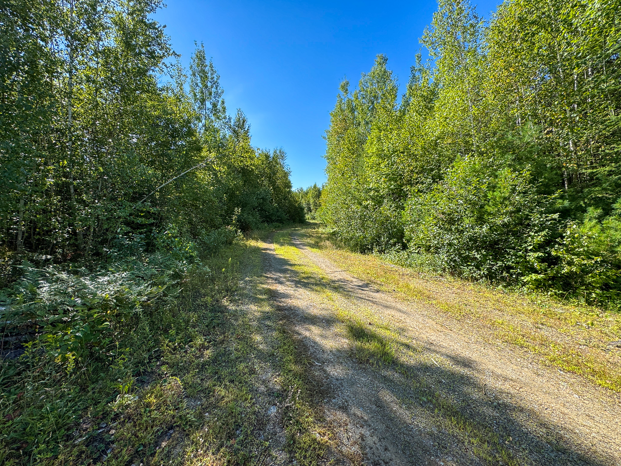 516 Acres Bordering State Wildlife Management Area