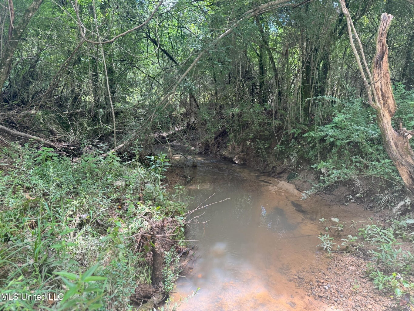 148 Acre Timberland Hunting Homesite Lincoln County, MS
