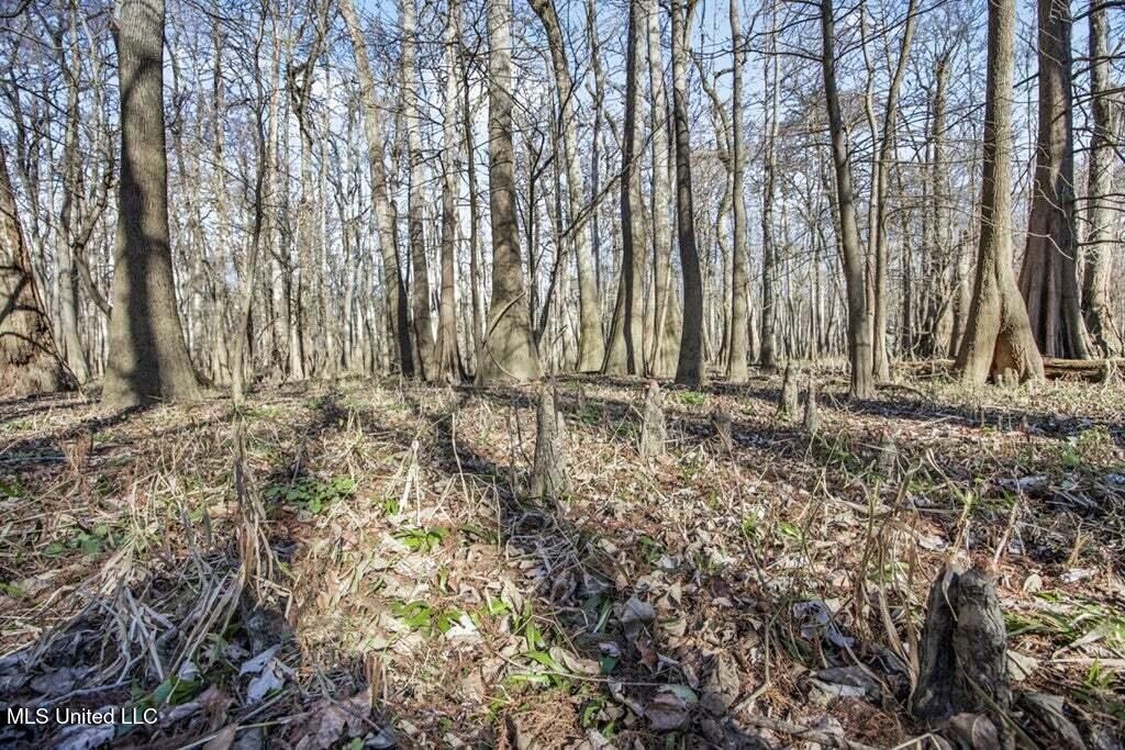 Final Flyway – Jefferson County MS Duck Hunting Land