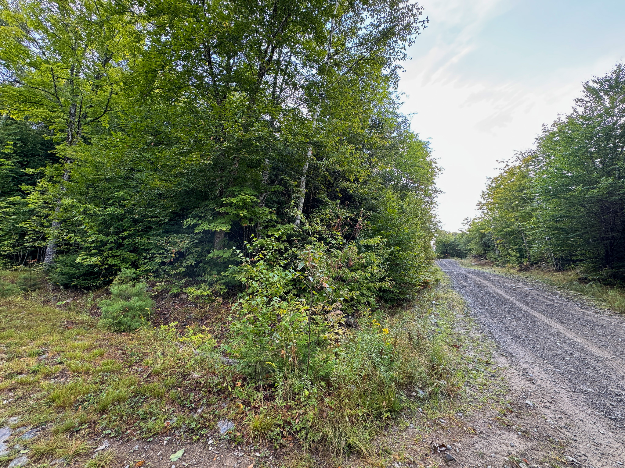 20 Acres with Katahdin Views – Springfield, Maine
