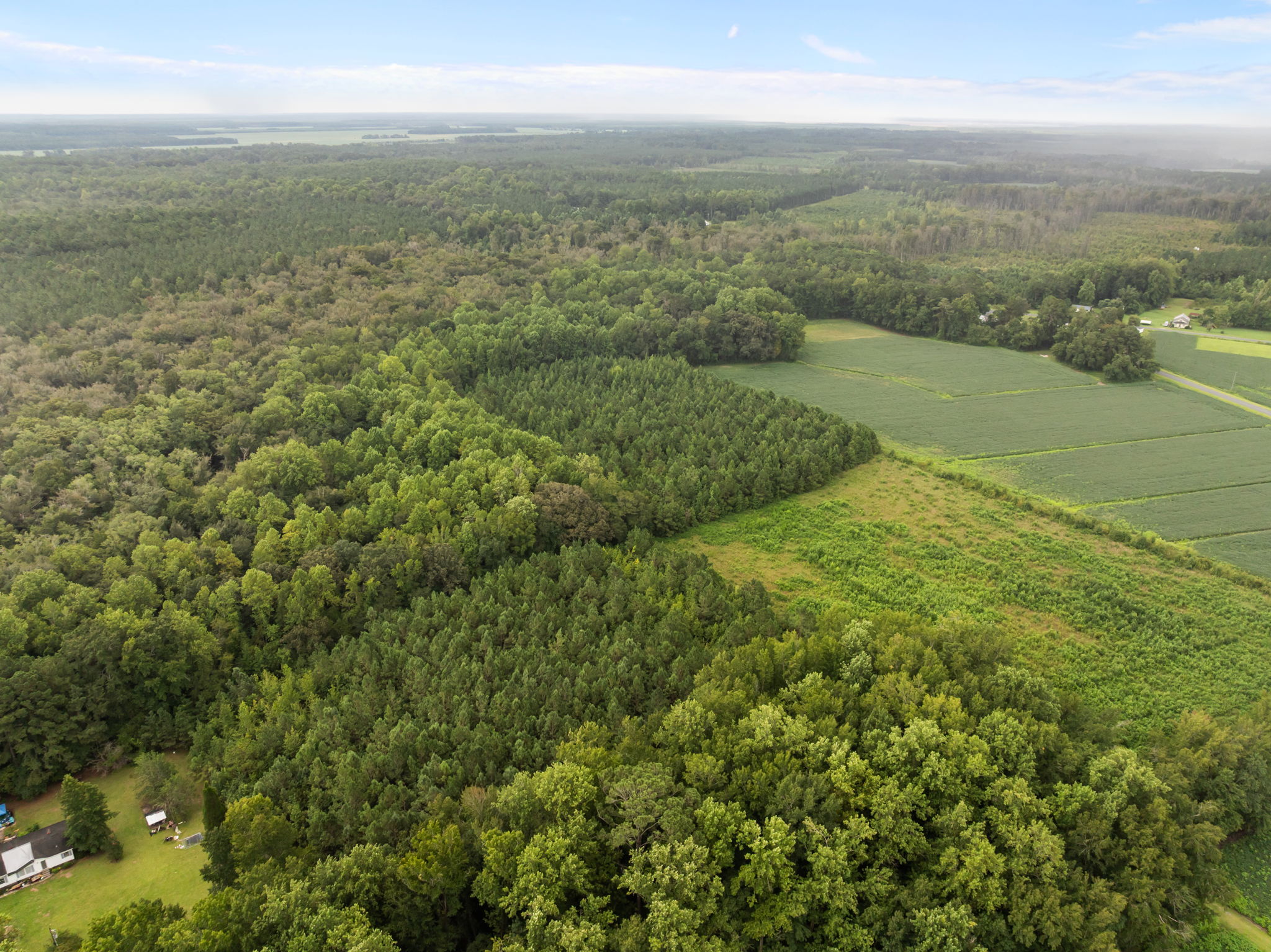 59 Acres of Farmland & Timberland in Rural NC – Great Hunting