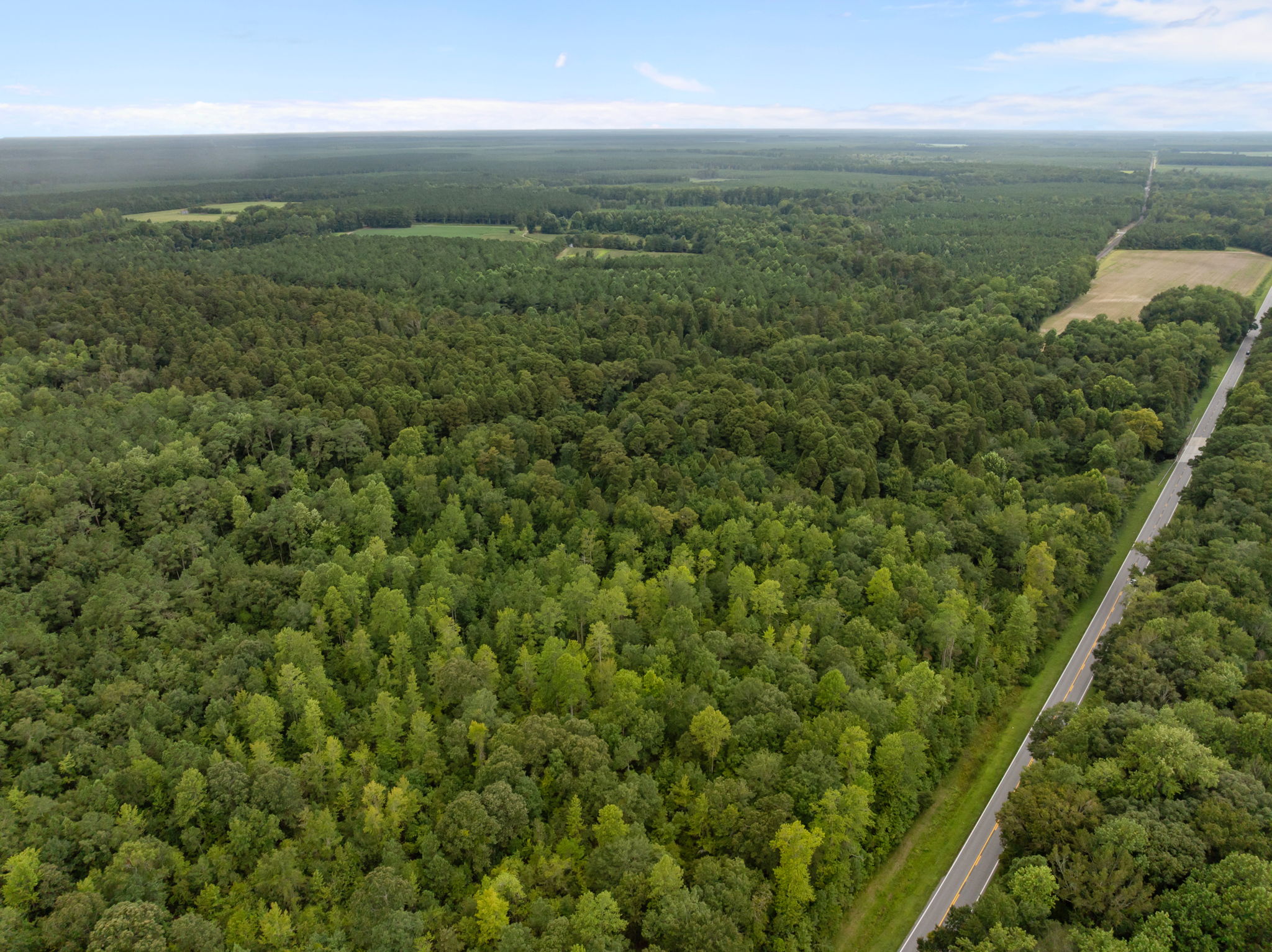 305 Acres Farmland & Timber with Hunting in NC