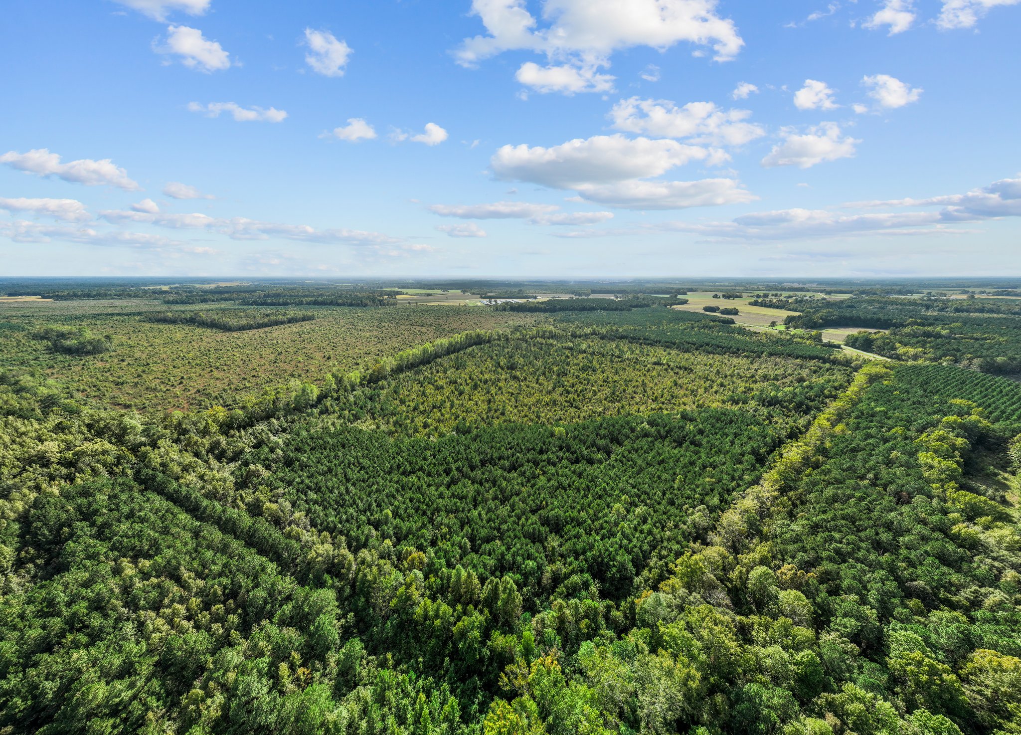 470-AC Prime Hunting Land for Sale in Pitt County, NC