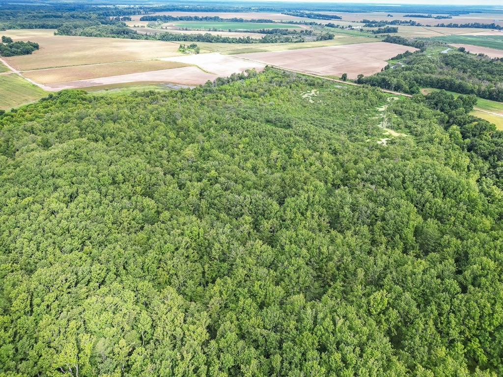 Tchula MS Delta 97 Acres