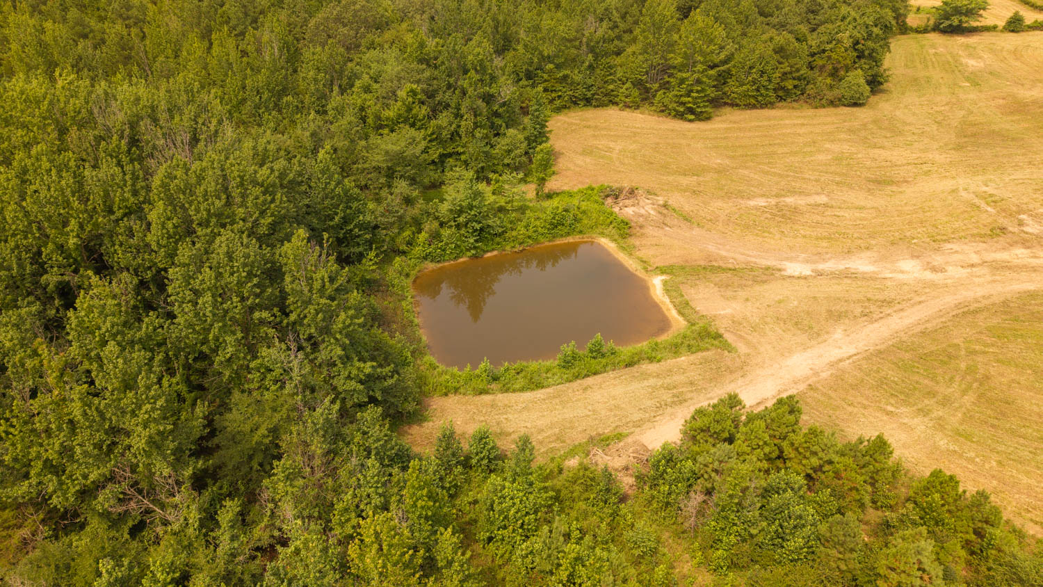 Country Home and 96 Acres in Hector, Arkansas