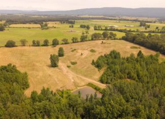 Country Home and 40 Acres in Hector, Arkansas