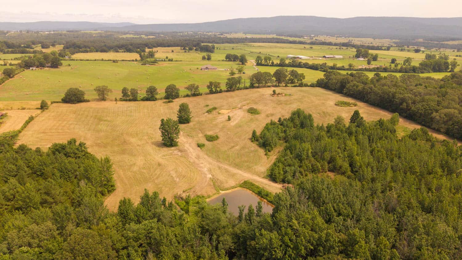 Country Home and 40 Acres in Hector, Arkansas