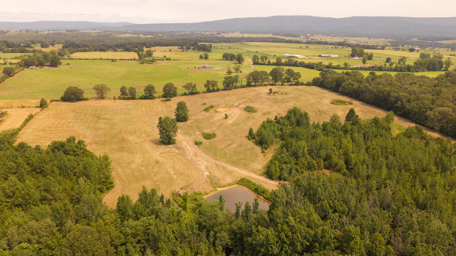 Country Home and 96 Acres in Hector, Arkansas