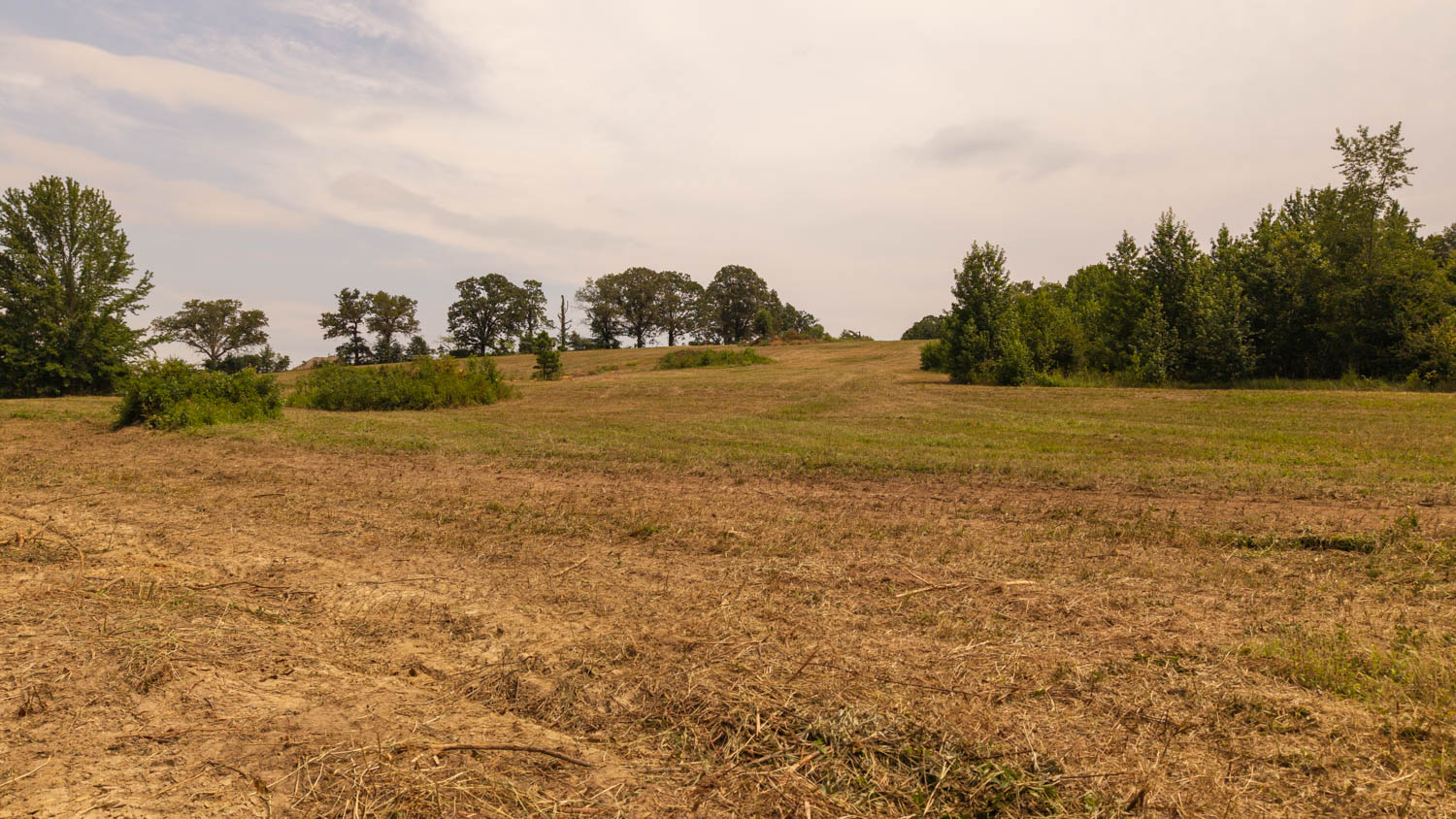 Country Home and 96 Acres in Hector, Arkansas