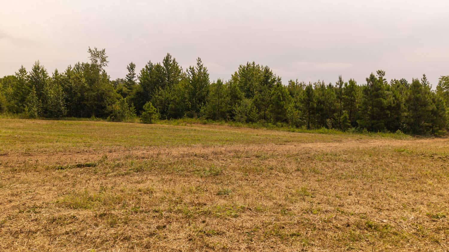 Country Home and 40 Acres in Hector, Arkansas