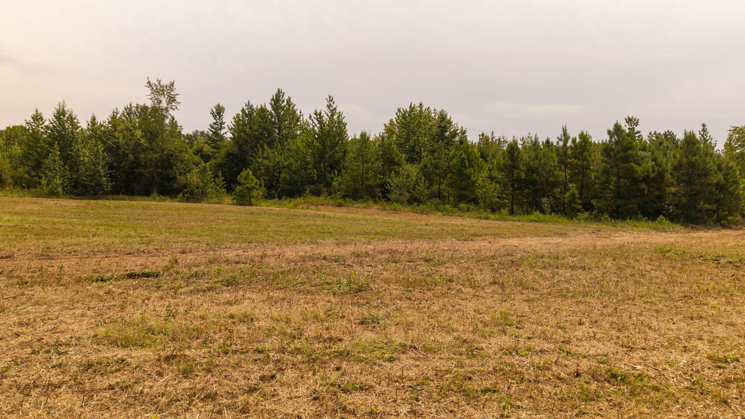 Country Home and 96 Acres in Hector, Arkansas