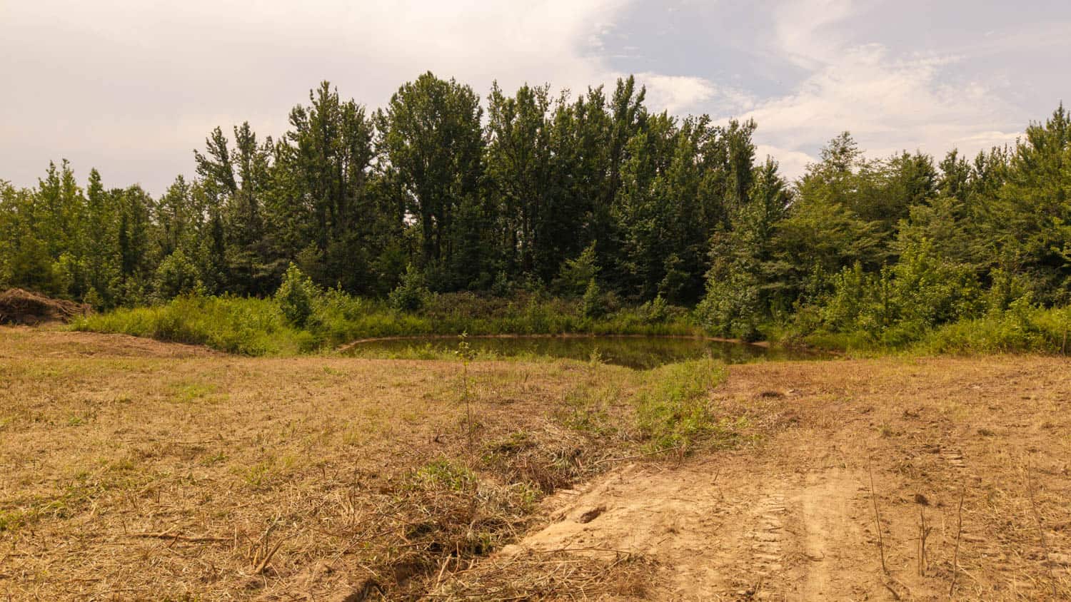 Country Home and 76 Acres in Hector, Arkansas