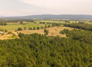 Country Home and 76 Acres in Hector, Arkansas