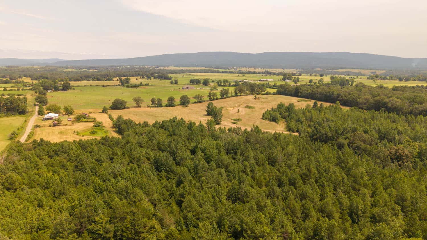 Country Home and 76 Acres in Hector, Arkansas