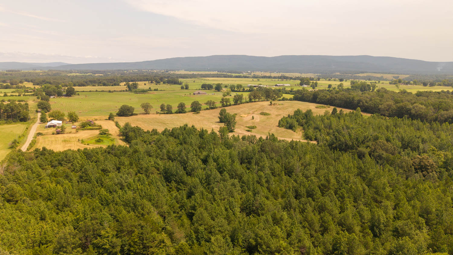 Country Home and 96 Acres in Hector, Arkansas