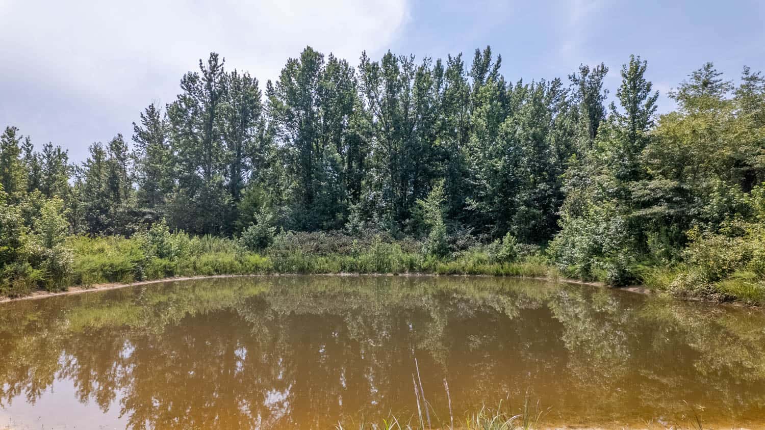 Country Home and 76 Acres in Hector, Arkansas