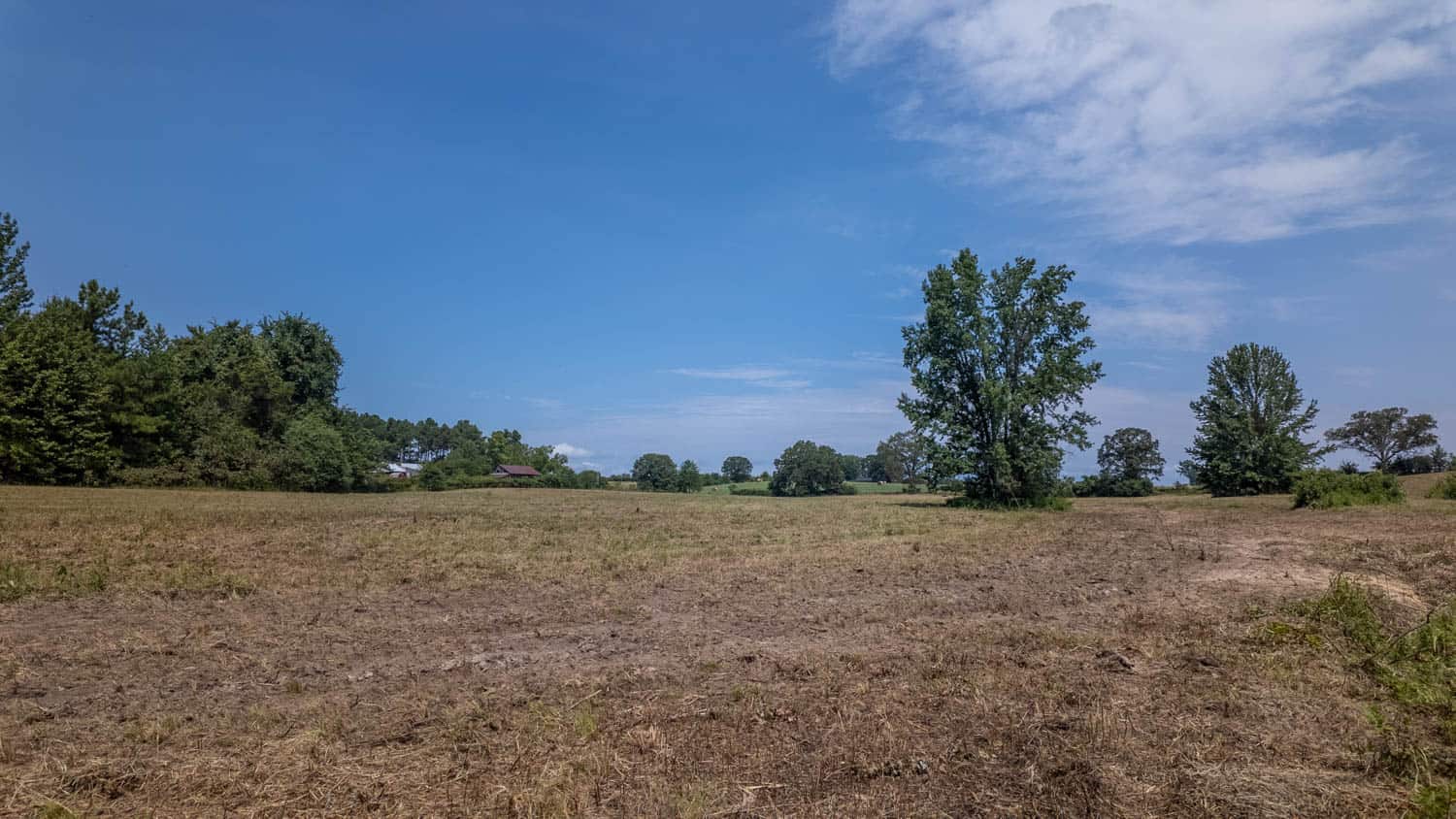 Country Home and 40 Acres in Hector, Arkansas