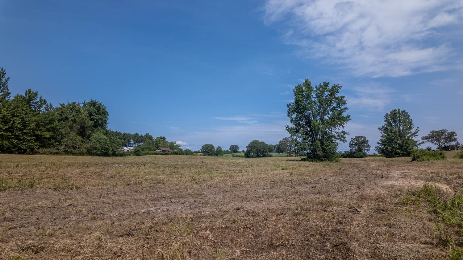 Country Home and 96 Acres in Hector, Arkansas