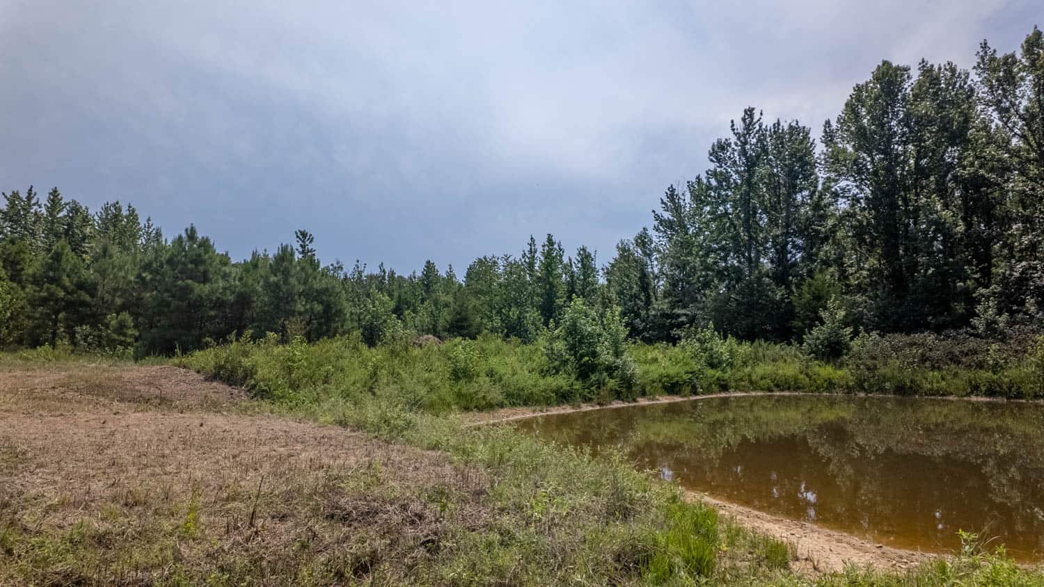 Country Home and 40 Acres in Hector, Arkansas