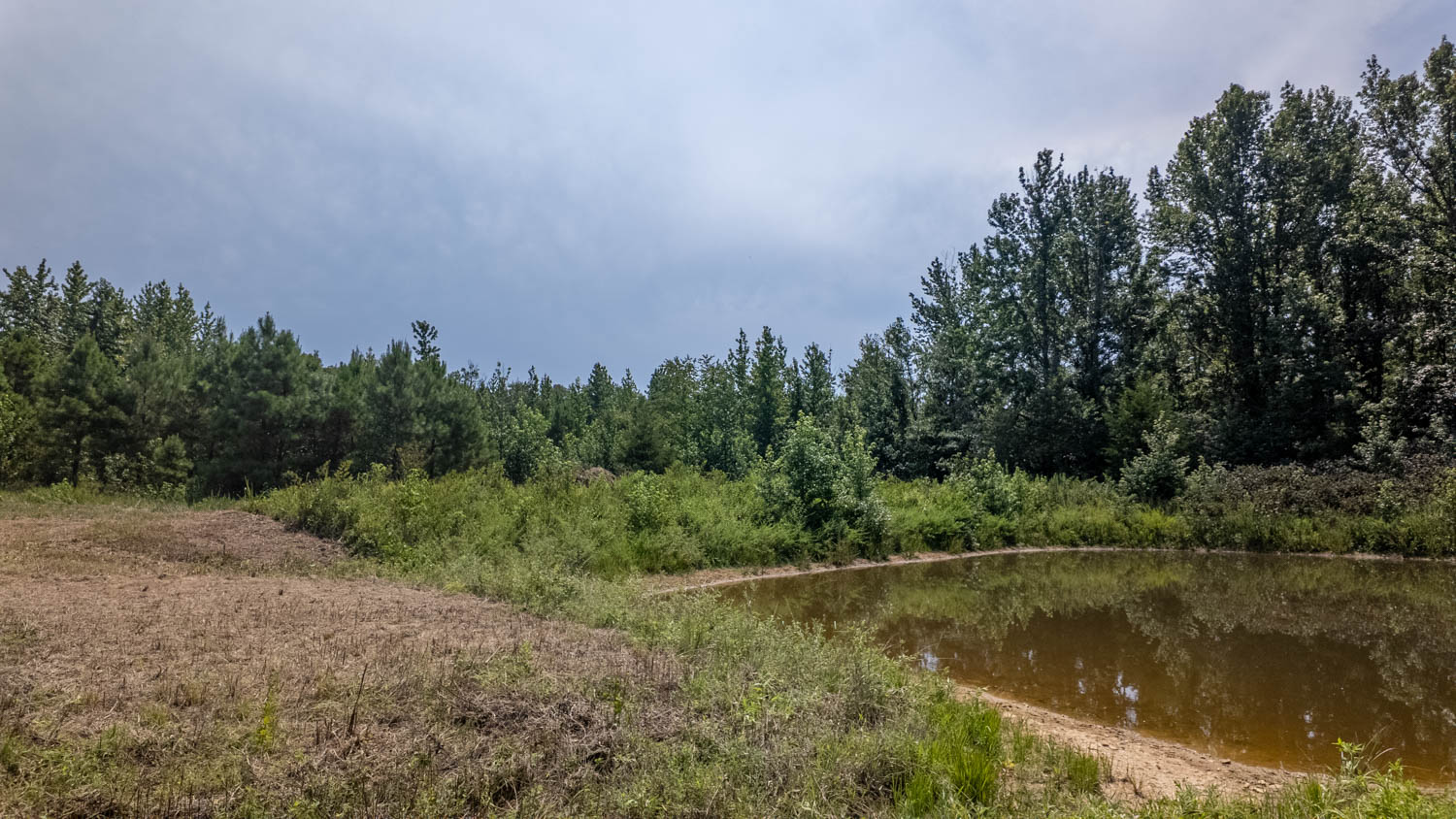 Country Home and 96 Acres in Hector, Arkansas