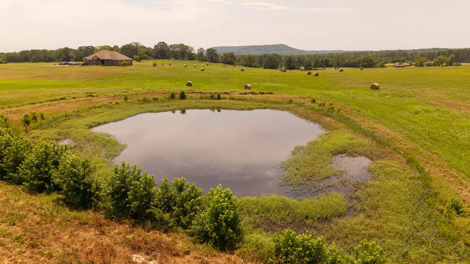 Country Home and 76 Acres in Hector, Arkansas