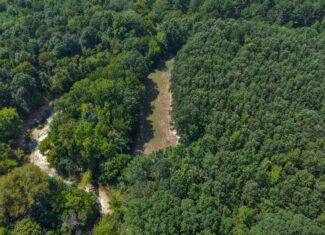 210 Acre Turn-Key Recreational Property for Sale in Dayton, Alabama
