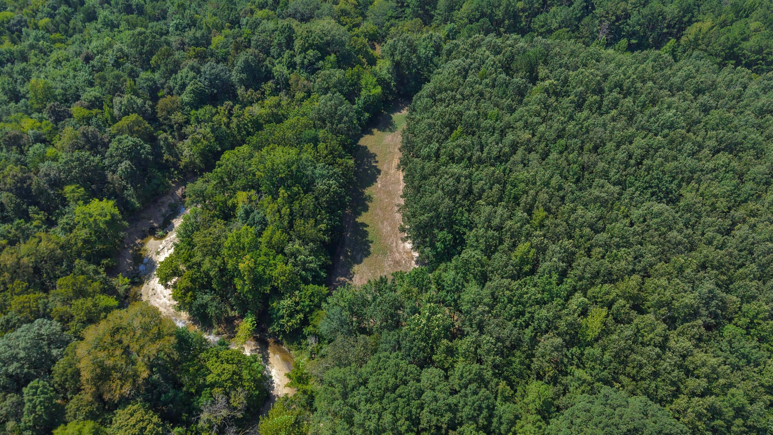 210 Acre Turn-Key Recreational Property for Sale in Dayton, Alabama