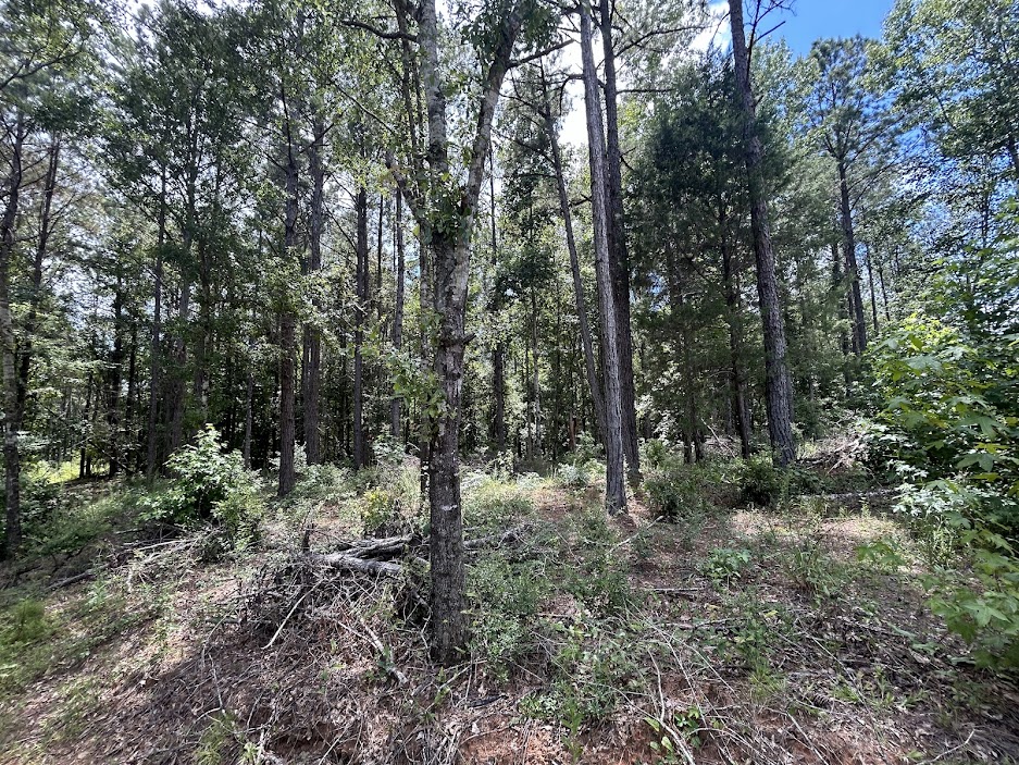 42 Acres in Autauga County – Secluded, Fenced, and Hunting Ready