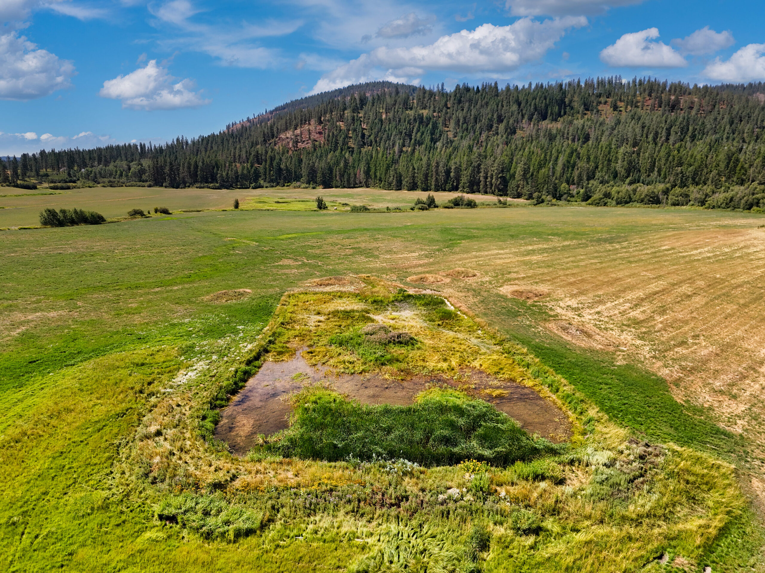 Legacy Ranch in Eastern Washington Up For Sale!