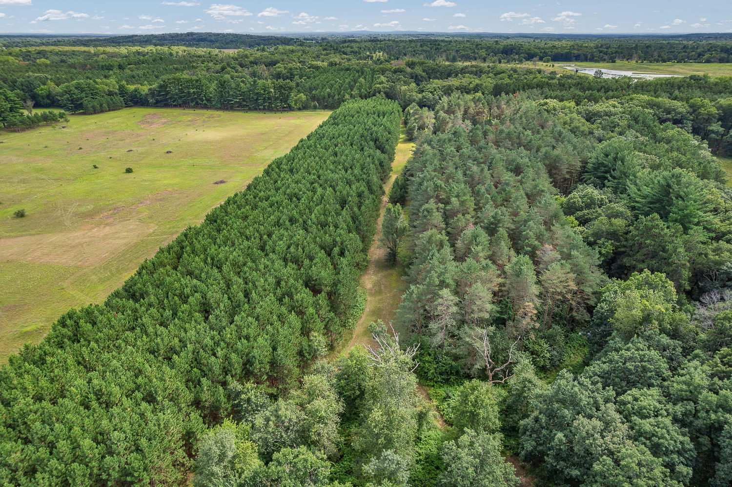 48.7+/- Acres Featuring a 2022 Single Wide Mobile Home Montello WI