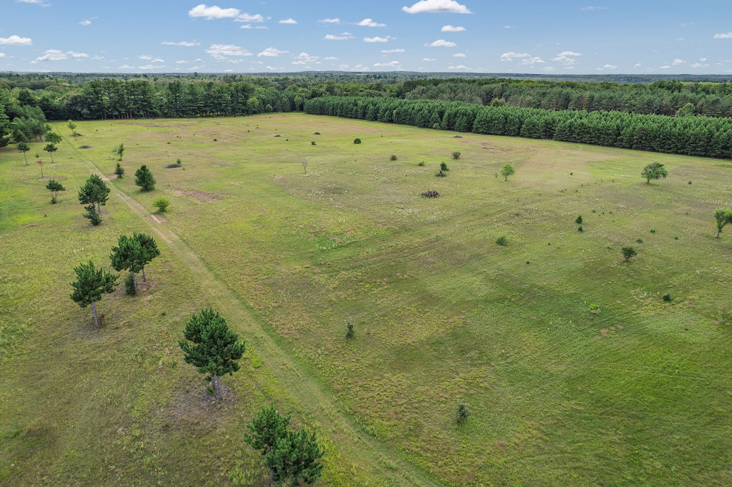 48.7+/- Acres Featuring a 2022 Single Wide Mobile Home Montello WI