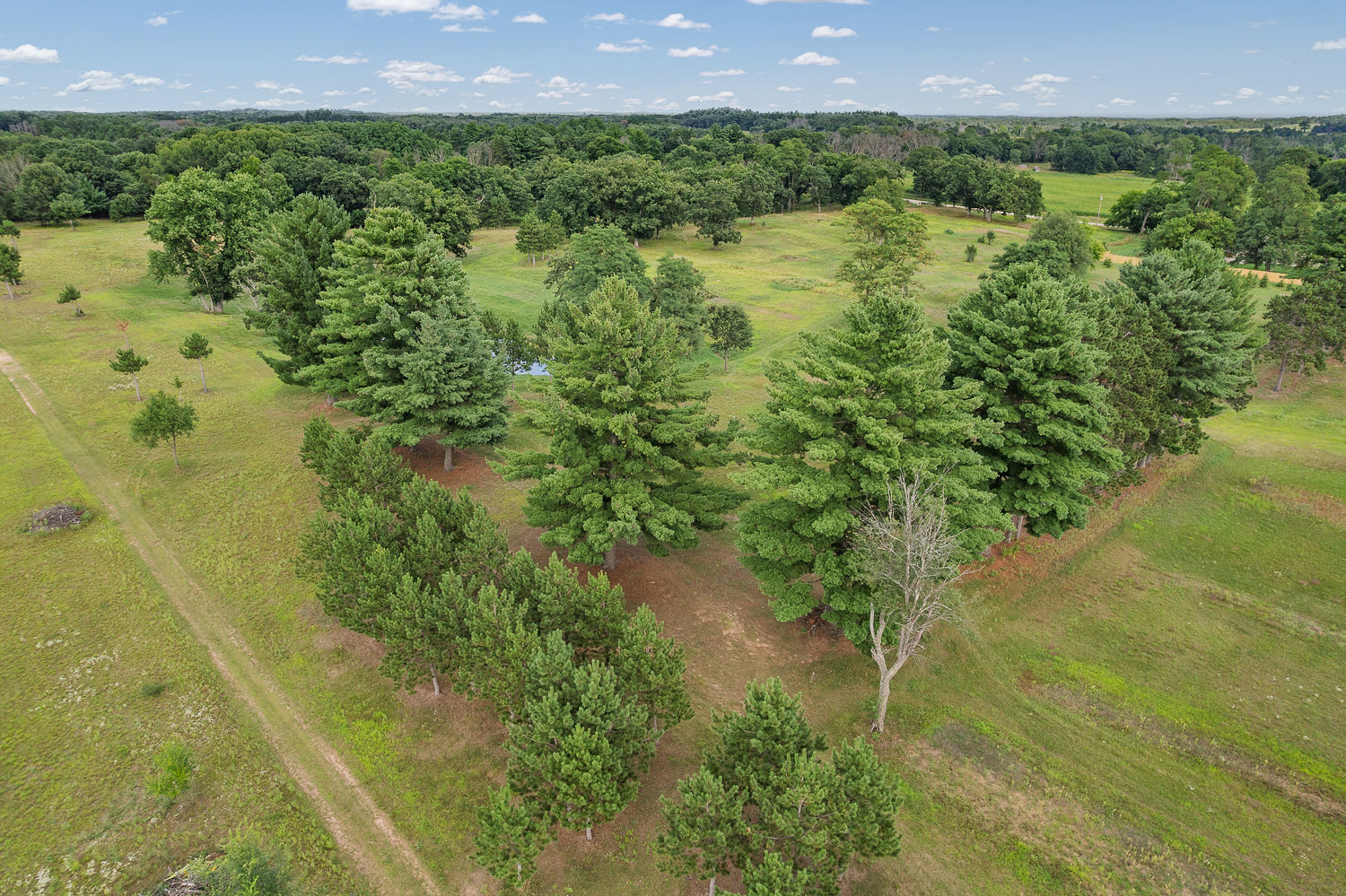 48.7+/- Acres Featuring a 2022 Single Wide Mobile Home Montello WI