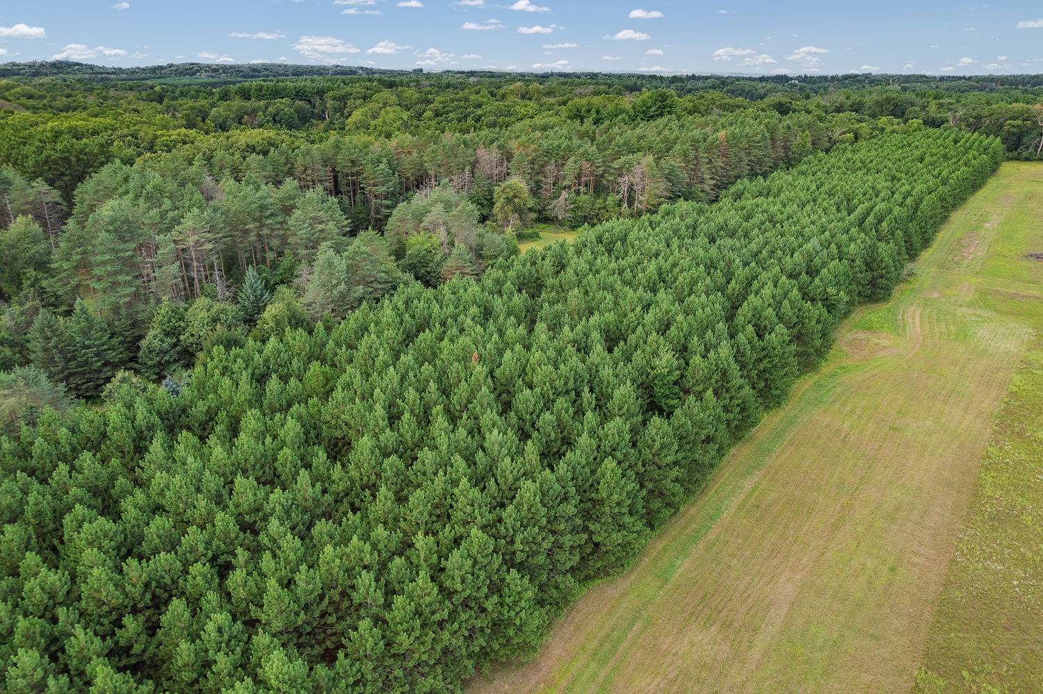 48.7+/- Acres Featuring a 2022 Single Wide Mobile Home Montello WI