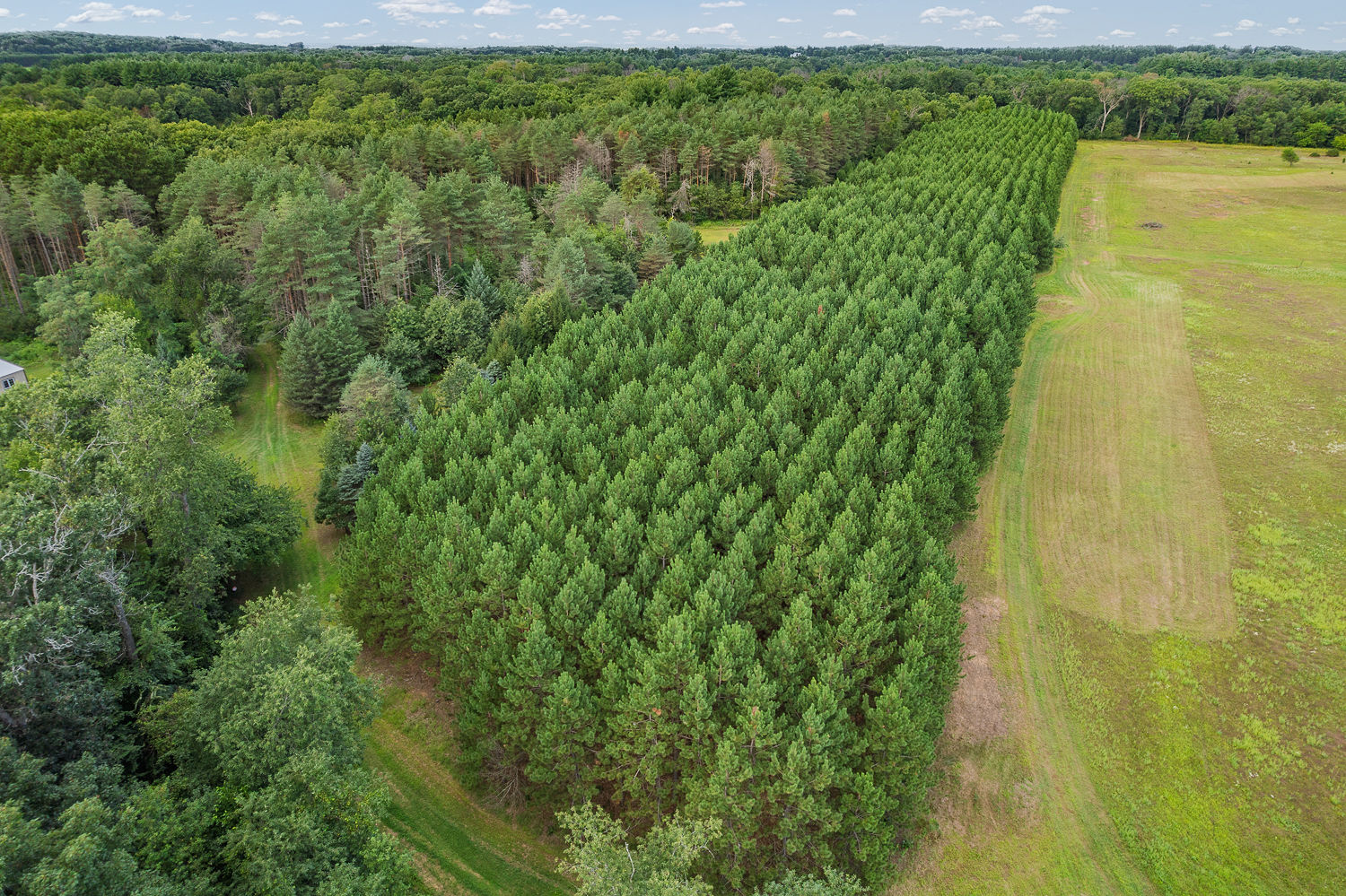 48.7+/- Acres Featuring a 2022 Single Wide Mobile Home Montello WI