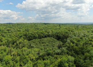 145 Acres of Timberland, Trails, Road Frontage & Creek