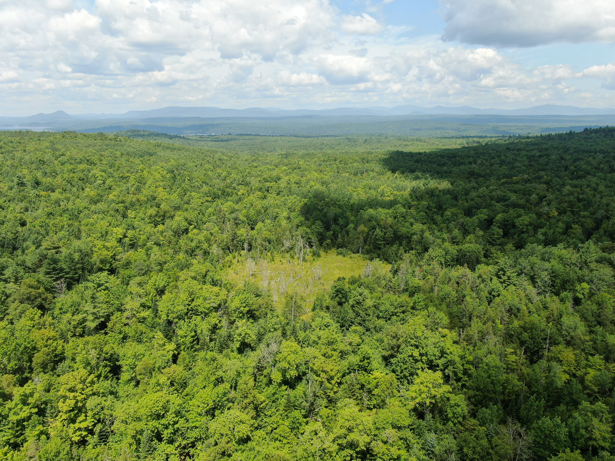 145 Acres of Timberland, Trails, Road Frontage & Creek