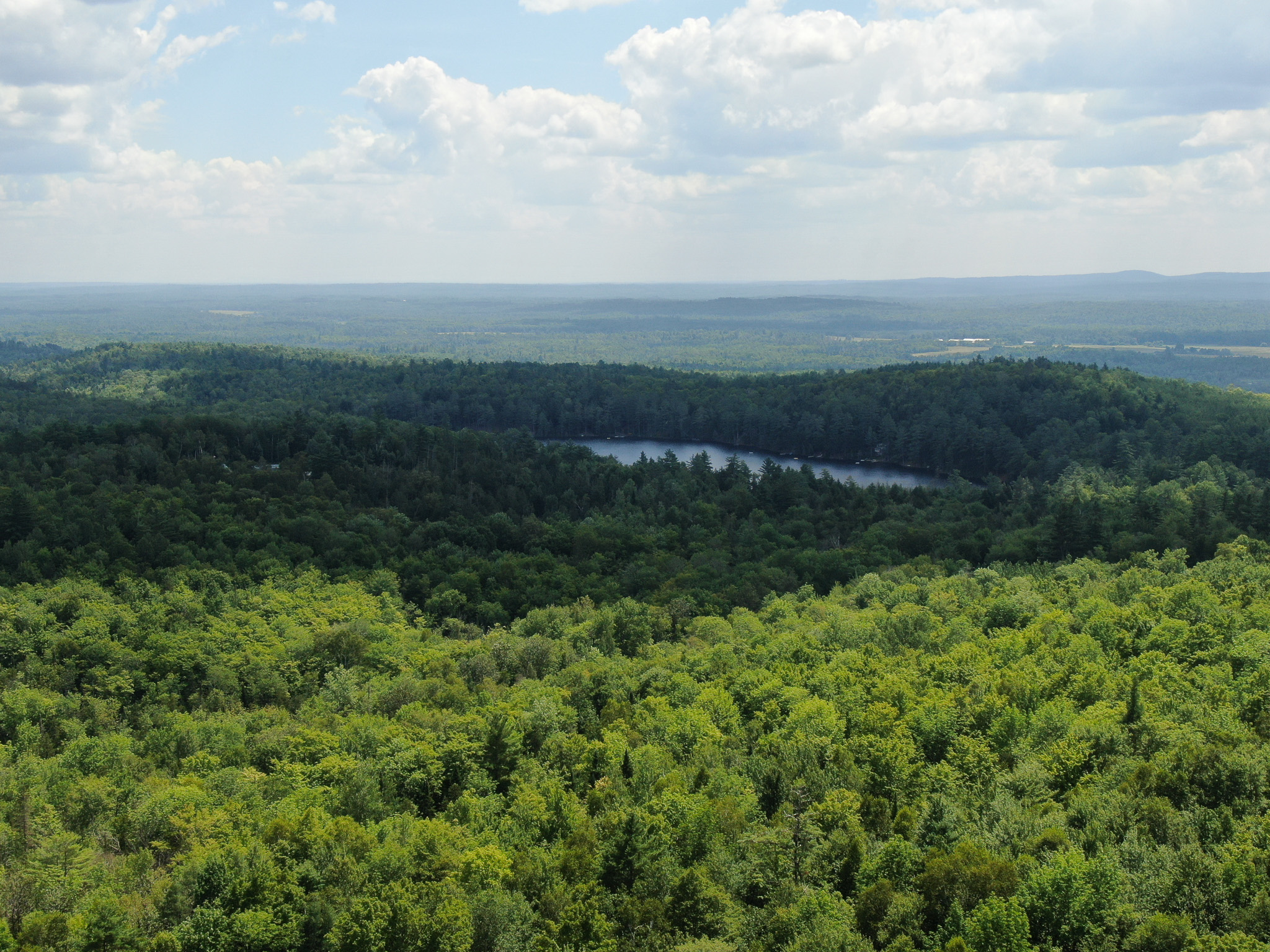 145 Acres of Timberland, Trails, Road Frontage & Creek