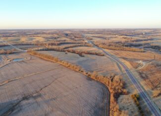 38 Acres m/l with CRP & Building Site